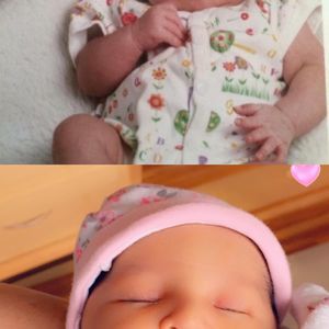 Meet your Posher, Bella